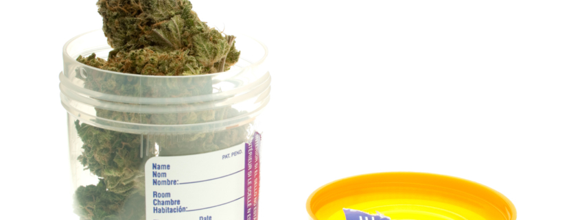 Should Employers in NY Ask Potential Employees for Marijuana Testing?